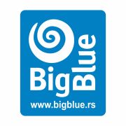 Big Blue Travel